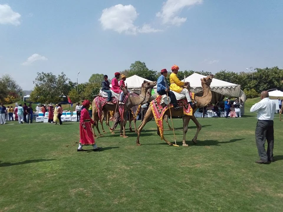 Travellers enjoying a camel experience on a green heritage ground in Jaipur