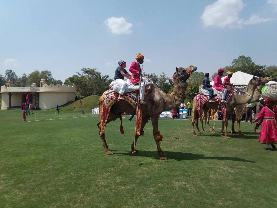 Luxury camel polo match in action in Jaipur, Rajasthan