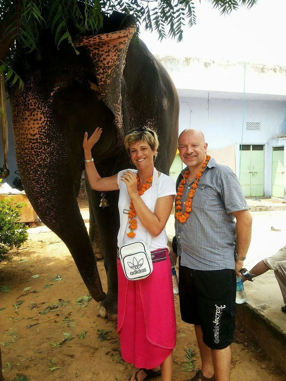A couple meeting a gentle elephant up close in Jaipur