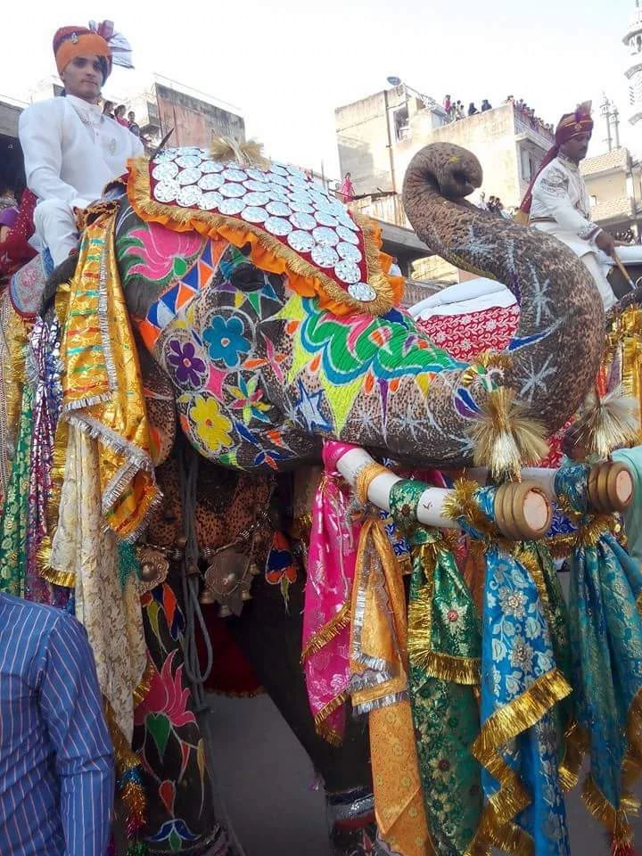Richly decorated elephant with royally dressed riders in a Jaipur procession
