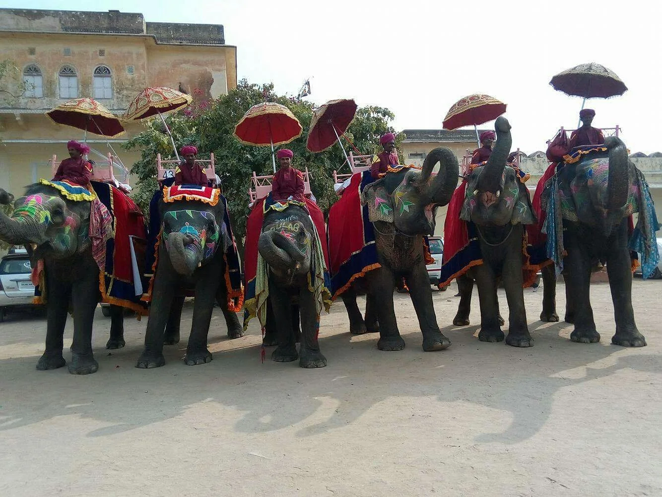 A fleet of decorated royal elephants with ceremonial parasols in Jaipur