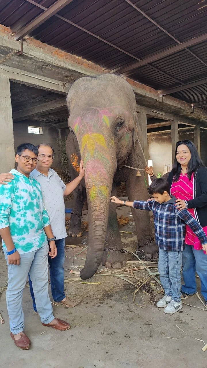 An elephant raising its trunk in a royal blessing over guests in Jaipur