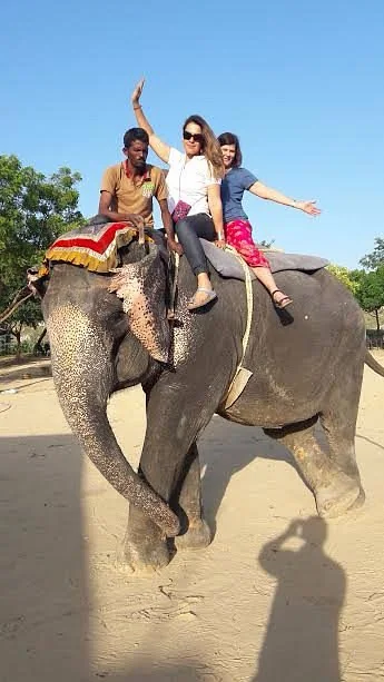Guests enjoying an elephant ride in warm golden light in Jaipur
