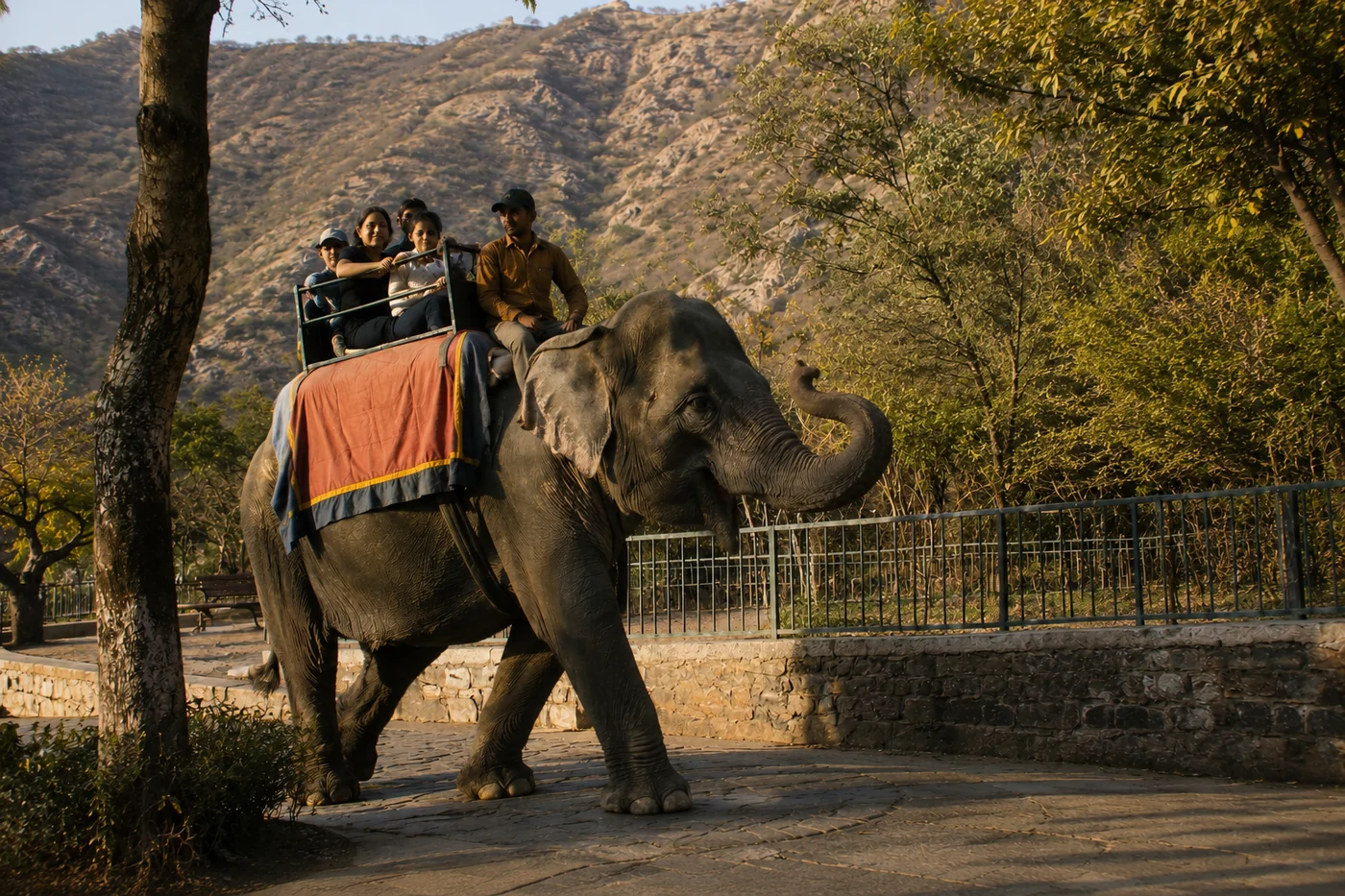 Guided elephant safari through the Aravali forest near Amer, Jaipur