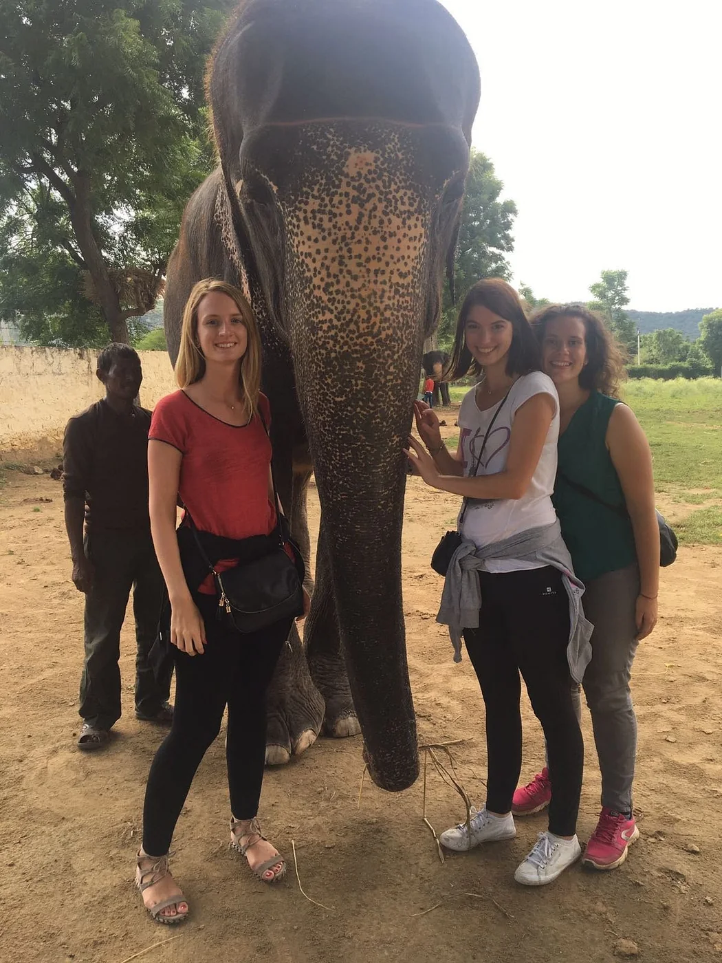 A happy group of guests posing with an elephant in Jaipur