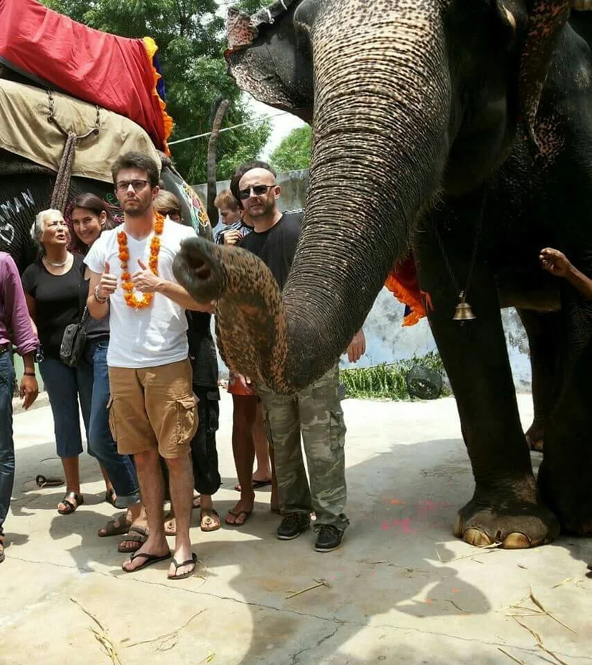 Delighted guests posing with an elephant's raised trunk in Jaipur