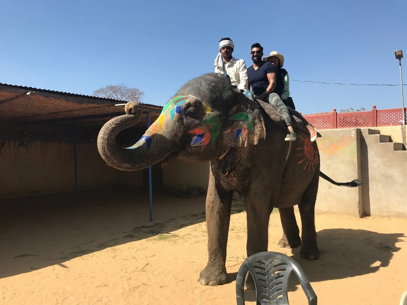 Guests riding a richly decorated elephant with its trunk raised in Jaipur