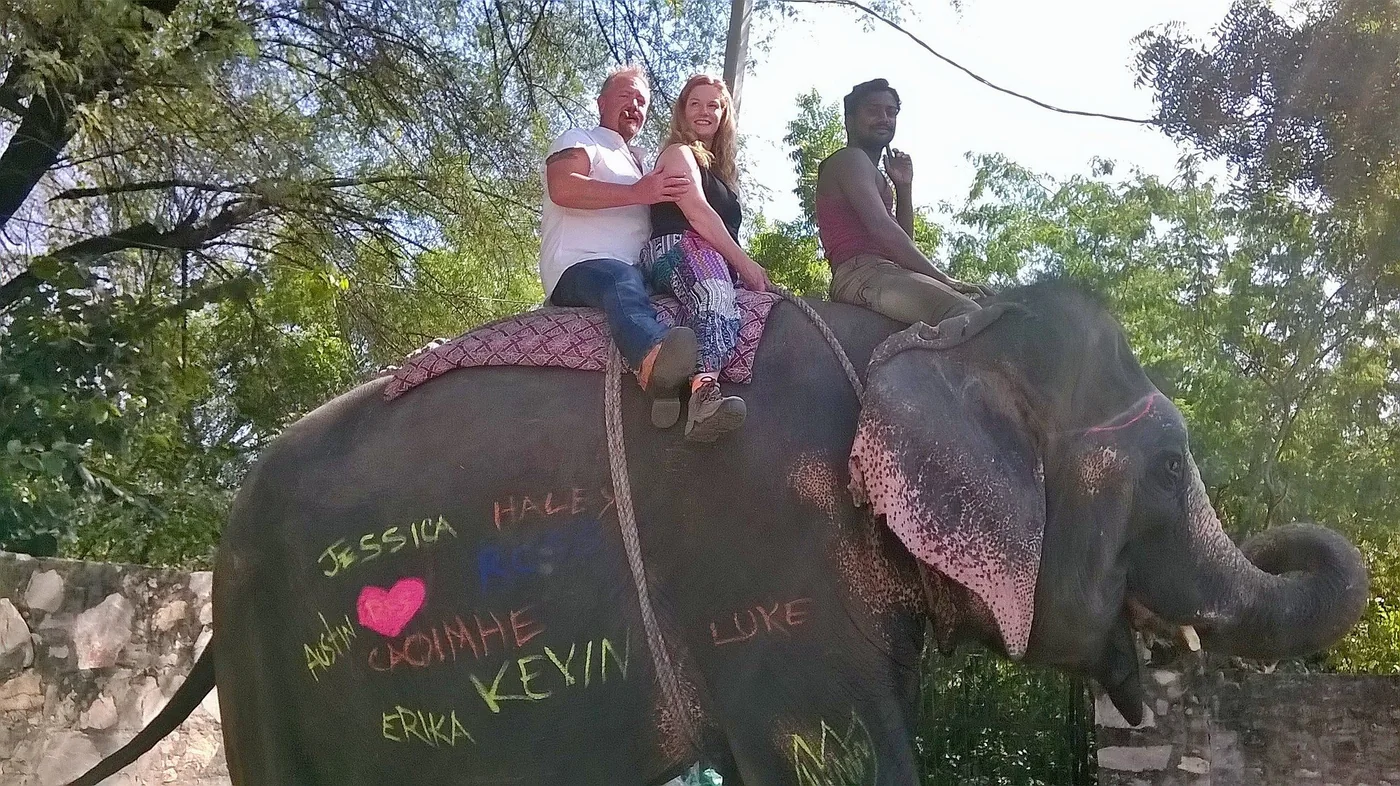 Guests riding a beautifully painted elephant in Jaipur, Rajasthan