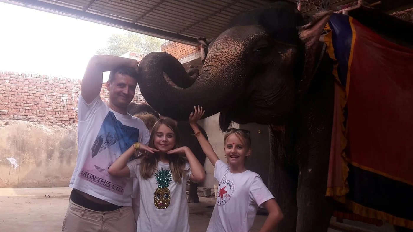 Guests with a beautifully decorated elephant in Jaipur