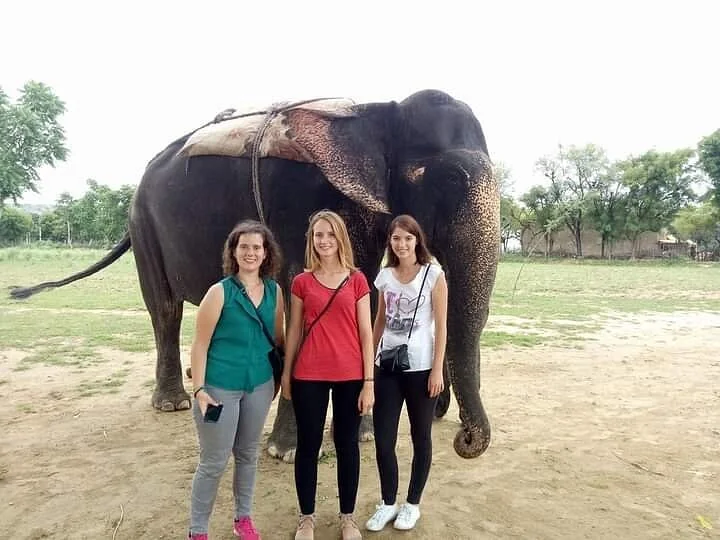 Guests standing with a gentle elephant on an open field in Jaipur