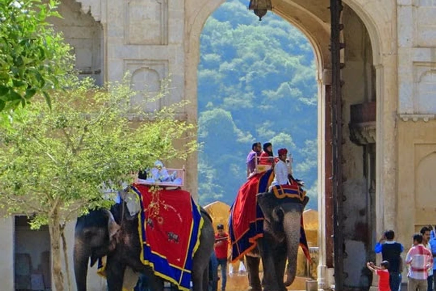 Heritage elephant tour approaching a historic fort in Rajasthan