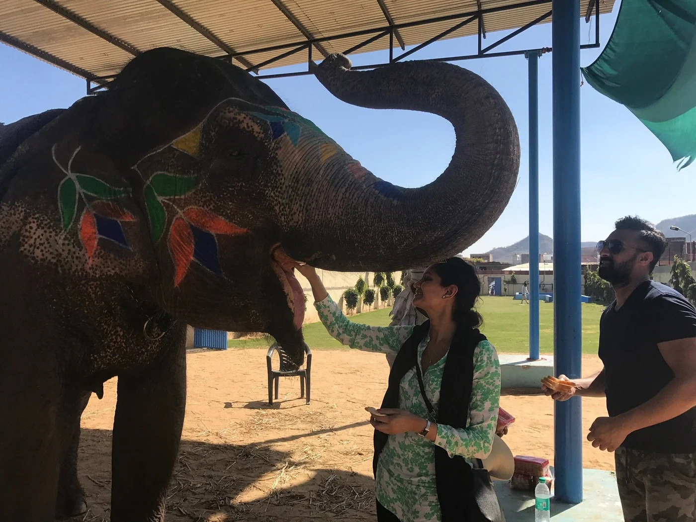 Close portrait of a hand-painted elephant with guests in Jaipur