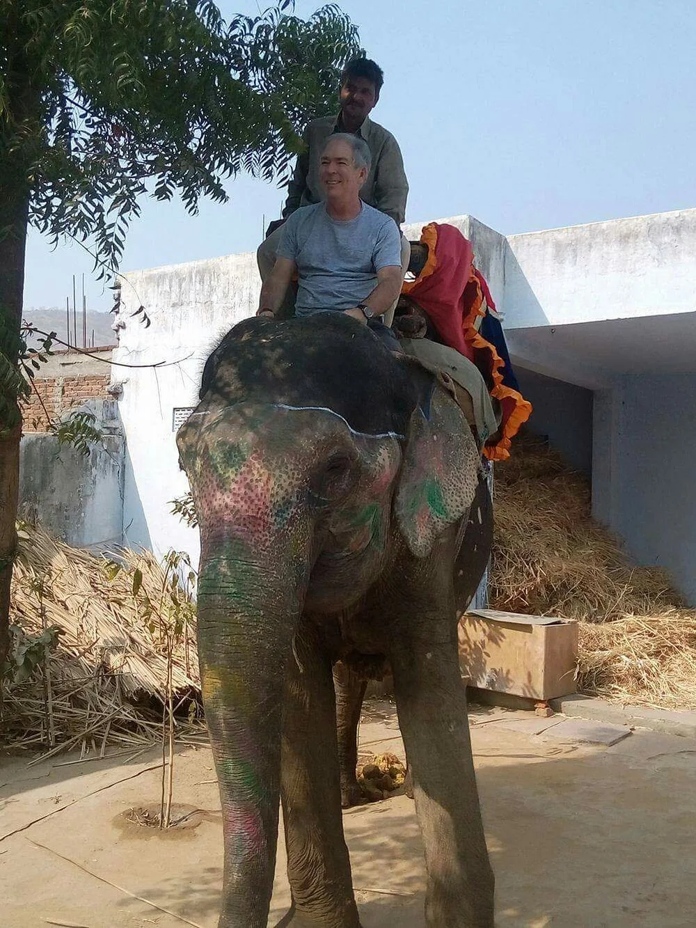 Guests on a painted elephant ride along a scenic trail near Amer, Jaipur