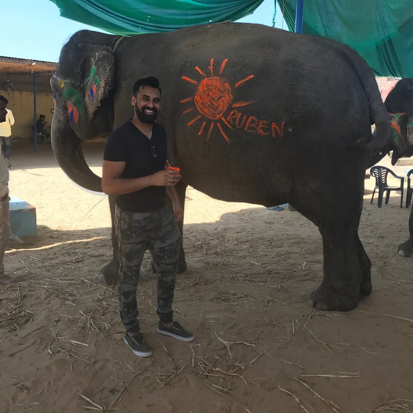 A guest beside an elephant painted with a bright sun motif in Jaipur