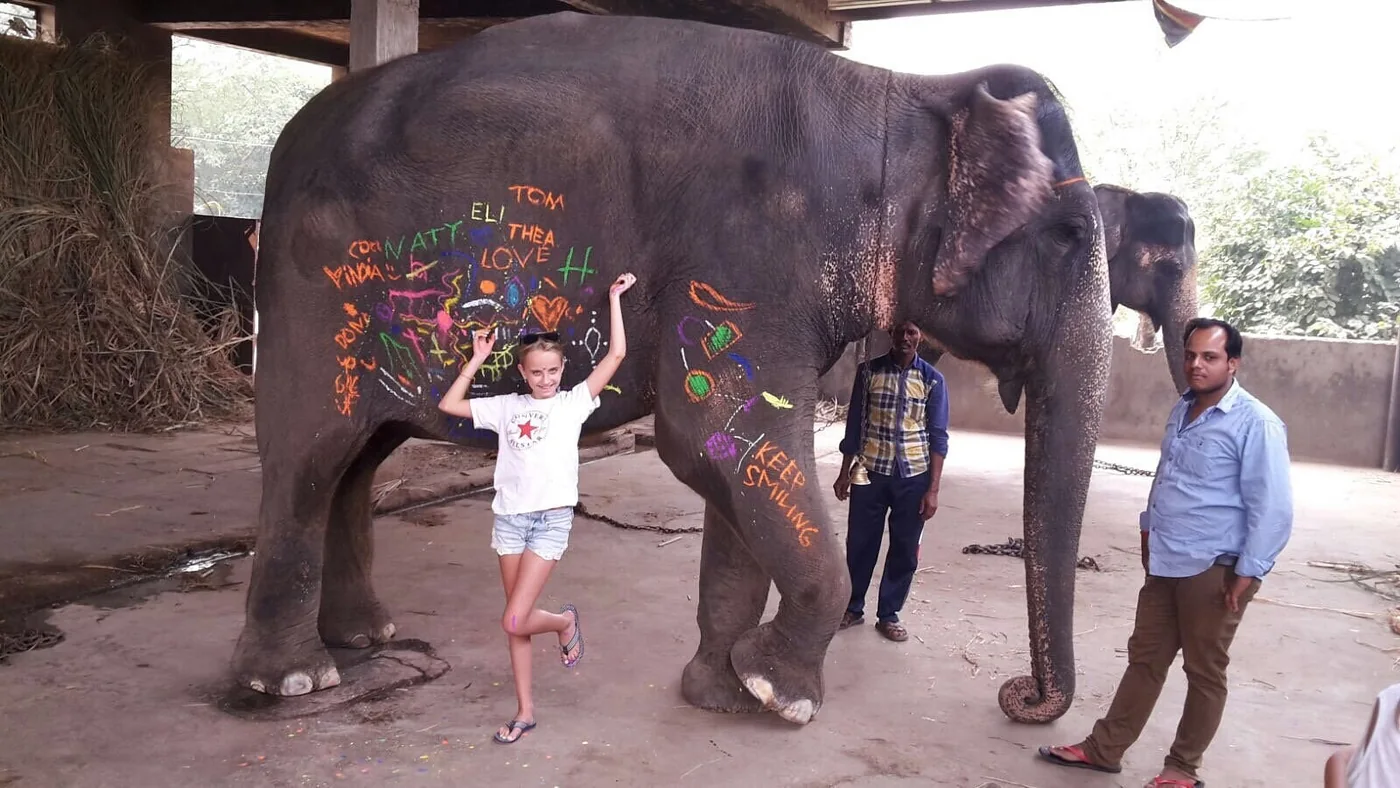 A guest posing between two decorated elephants in Jaipur